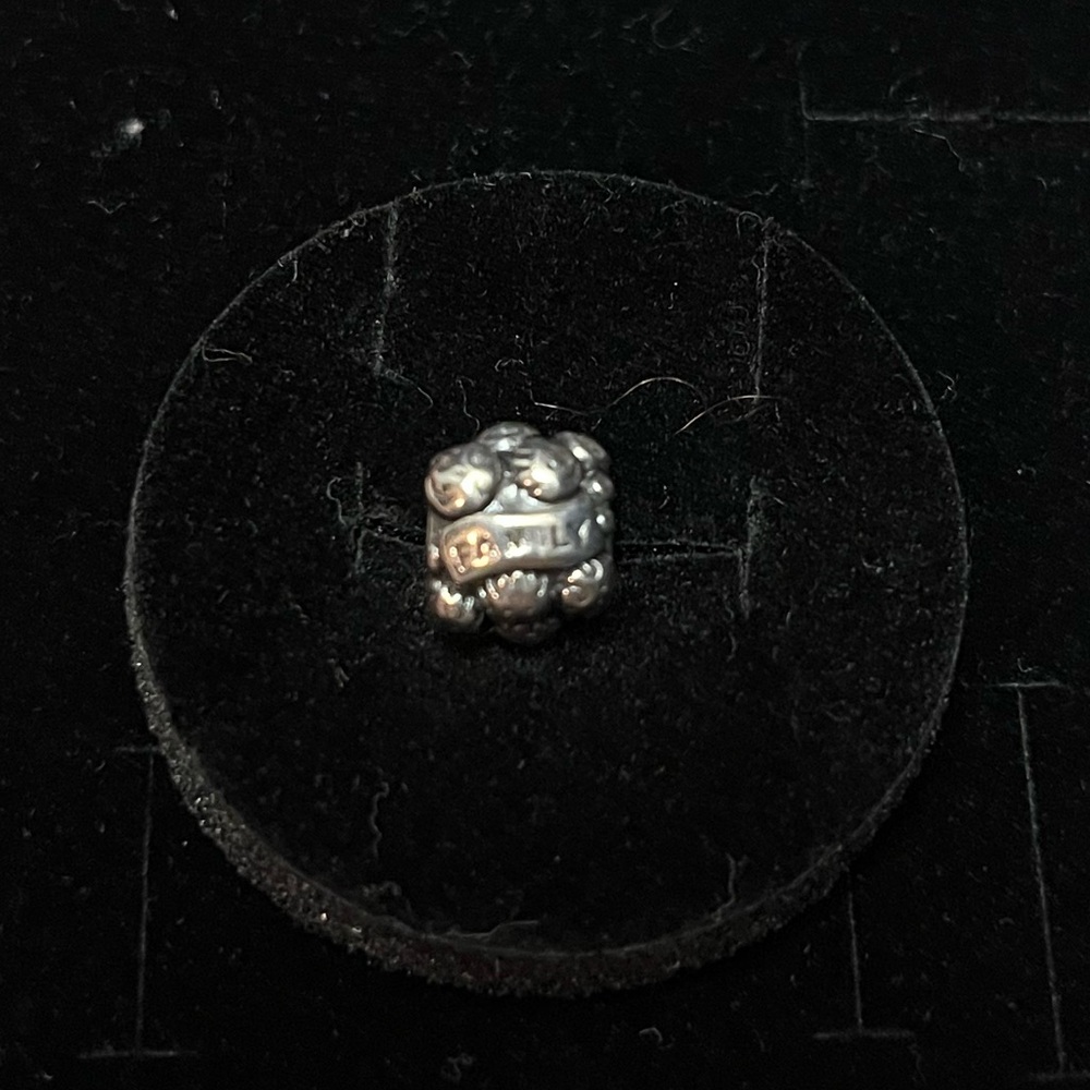Retired Love & Family Pandora charm